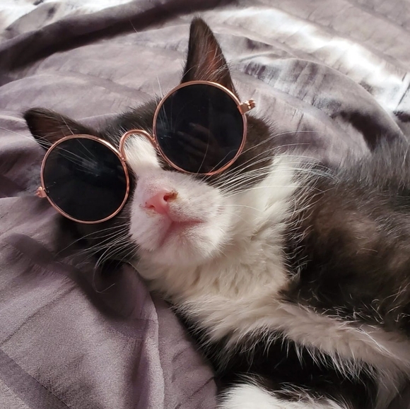 LIVE NOW ! - Picture 7 of 17